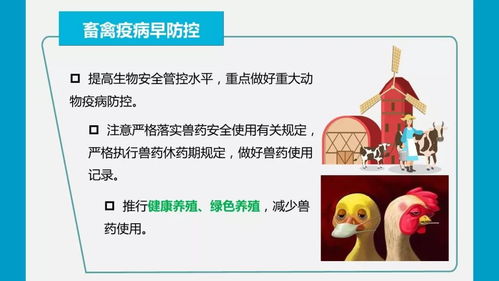 疫情防控期間強化農產品質量安全監(jiān)管，嚴防禁用獸藥等風險隱患