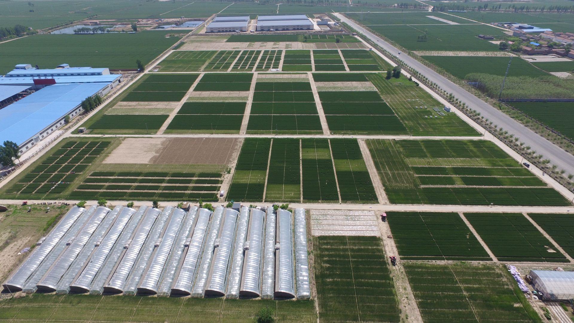 扎根大地育新人 農業(yè)技術革新引領愛國奮斗新篇章