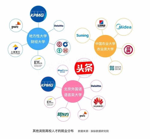 數據洪流中的抉擇 今日頭條如何成為中國互聯網職場的新磁極